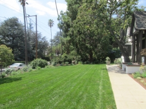 Transforming Outdoor Spaces: Landscape Design in Los Angeles